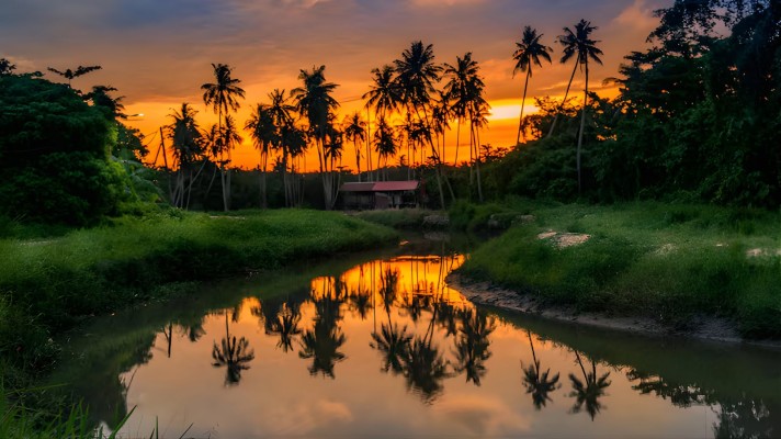 Kerala Tour Packages