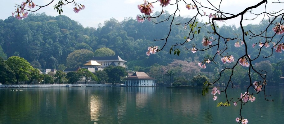 Sri Lanka Tour Packages